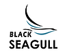 Black Seagull Express